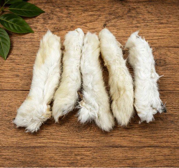 Konijnenpootjes met vacht