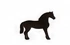 Paard